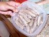 The partially cooked bull penis