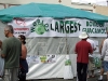 The second largest bowl of guacamole is housed inside