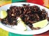 A plate of tasty grasshoppers at Guelaguetza Restaurant