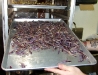 Idaho-grown purple potatoes waiting for the fryer