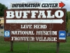 No need for a sign to see the giant buffalo
