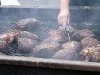 Garlic-drenched tri-tip hot off the grill