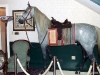Former mascot of the Kahle Saddlery Shop (not a ghost horse