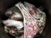 Pig head and trotters (photo courtesy of Ben Ford)