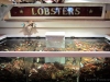 Lobstah!