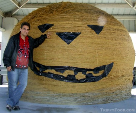 The world's largest ball of twine, dressed up for Halloween