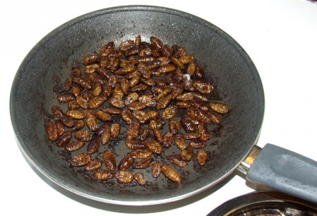 Silkworm pupae (beondegi) in the frying pan