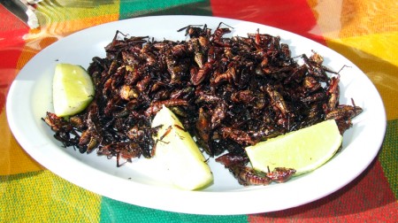 A plate of tasty grasshoppers at Guelaguetza Restaurant