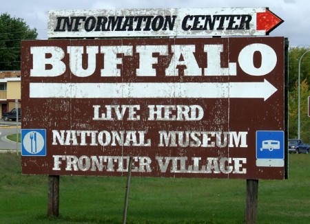 No need for a sign to see the giant buffalo