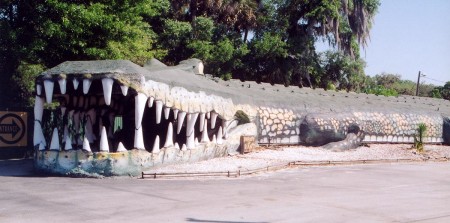 Swampy the Gator (largest alligator in the world)