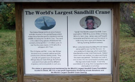 A quick history of Sandy the sandhill crane