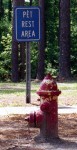 Where did dogs "go" before the fire hydrant? Where did dogs "go" before the fire hydrant?