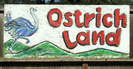 The original Ostrich Land sign in Buellton CA