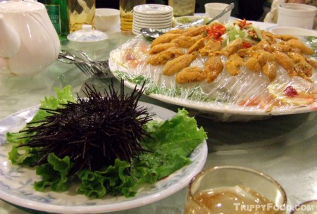 A live sea urchin pays homage to its dead family