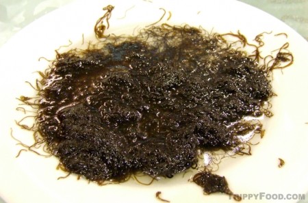 Hair vegetable, a desert-grown bacterium