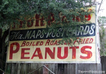An old sign near the Georgia-Florida border