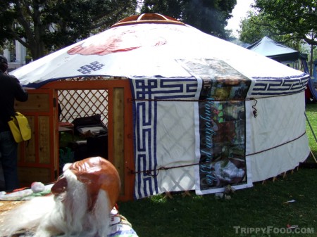 A typical but stripped down yurt