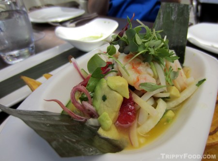 Steamed Mexican shrimp and calamares