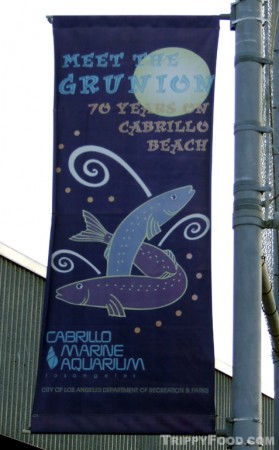 A banner announces the Meet the Grunion program