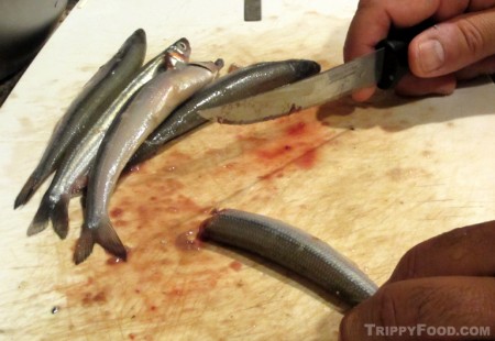 Cleaning the grunion for cooking