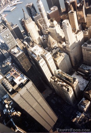 Our view from the top of the World Trade Center