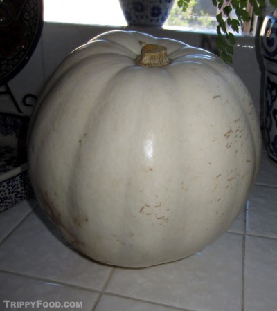 Ghost (or Lumina) pumpkin