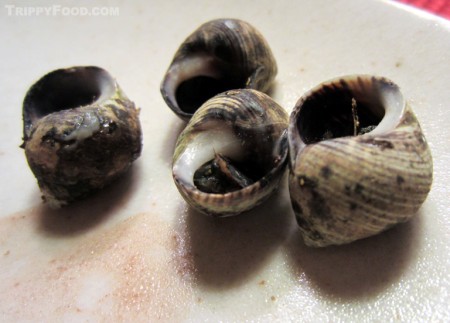Periwinkles, tasty but a lot of work
