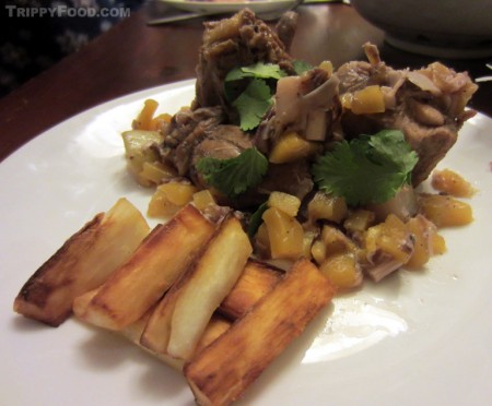 The plated iguana stew with yuca frites