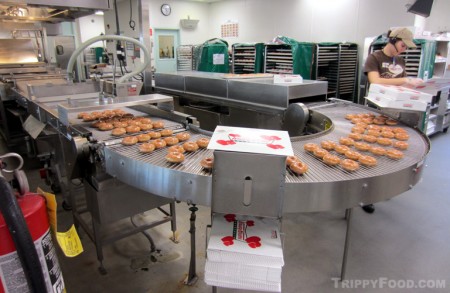 The conveyor of hot doughnuts at Krispy Kreme