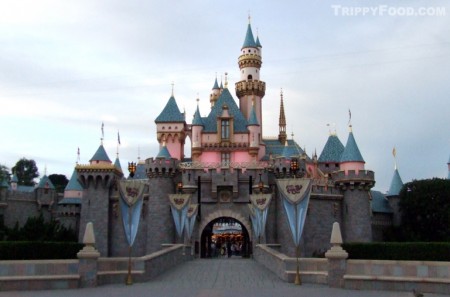 The iconic and familiar Sleeping Beauty Castle