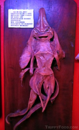 One of the Jenny Hanivers on display