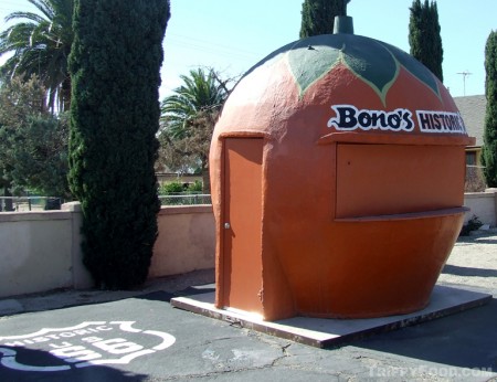 Bono's pipsqueak orange in Fontana CA