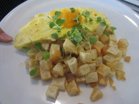 A three egg omelet with Lamb Chopper sheep milk cheese, cheddar and arugula