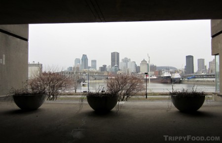 The view of Old Port and Downtown Montréal from Habitat 67