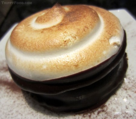 A moon pie cleverly disguised as "Electric Chocolate S'mores"