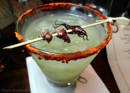 Aguacatero with avocado-infused mezcal, skewered grasshoppers