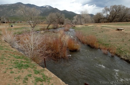 The red willows from which Taos takes its name